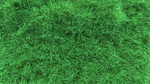 Grass Fast on Top View Loop Stock Footage 193278765