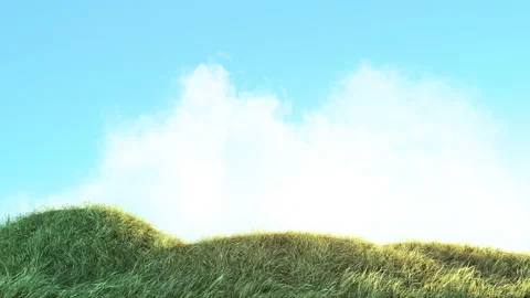 Grass Fast Wind on Light Blue Sky Stock Footage 197013113