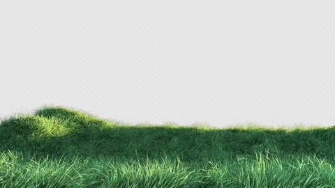 Grass Fast Wind Loop with Alpha Channel Stock Footage 201509904