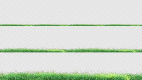 Grass Fastt 3 Clip Stock Footage 203664258