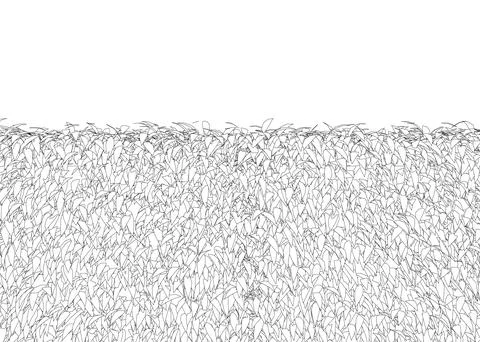 Grass fence rectangular boxwood shrubs. Ornamental plant for decorate of a .. Stock Illustration