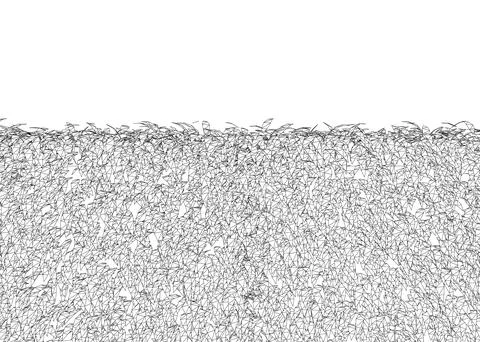 Grass fence rectangular boxwood shrubs wireframe. Ornamental plant for decora Stock Illustration
