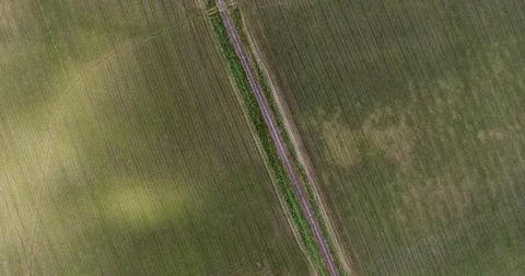 Grass field from above Stock Footage 77476747