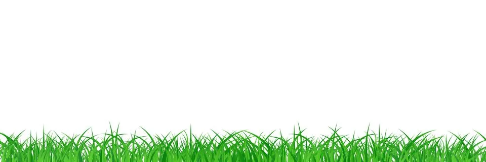 Grass field abstract background vector illustration in long horizontal Stock Illustration