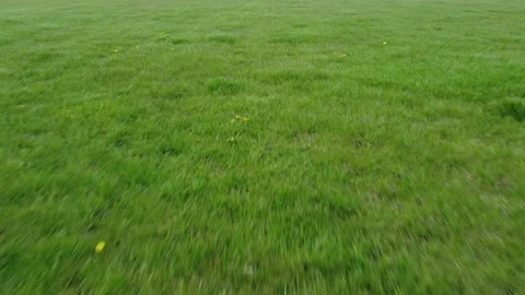 Grass Field Aerial Stock Footage 187860832
