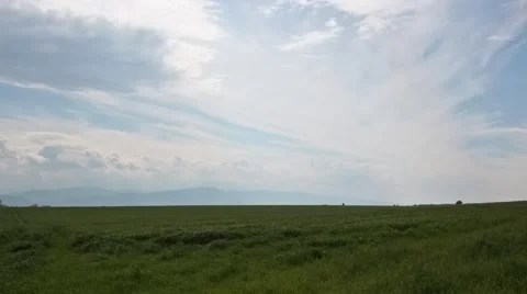 Grass Field and Clouds Stock Footage 47503639