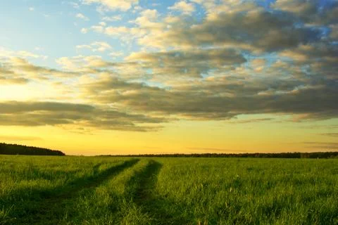 Grass field and dramatic sky at sunset Stock Photos