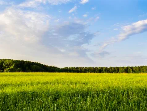 Grass field and dramatic sky at sunset Stock Photos