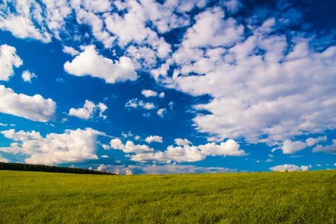 Grass field and dramatic sky at sunset Stock Photos