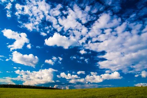 Grass field and dramatic sky at sunset Foto stock