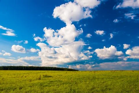 Grass field and dramatic sky at sunset Foto stock