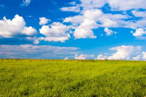 Grass field and dramatic sky at sunset Stock Photos