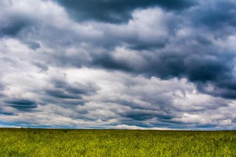 Grass field and dramatic sky Stock Photos