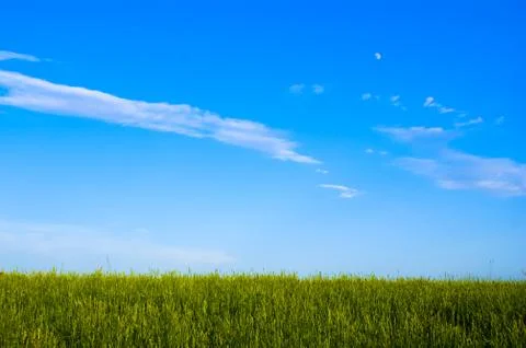 Grass field and dramatic sky at sunset Stock Photos
