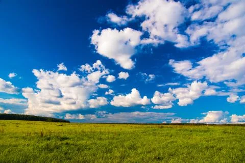 Grass field and dramatic sky at sunset Stock Photos