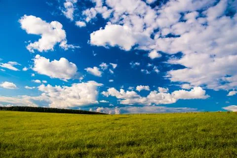 Grass field and dramatic sky at sunset Stock Photos
