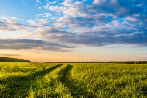 Grass field and dramatic sky at sunset Foto stock
