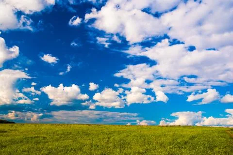 Grass field and dramatic sky at sunset Stock Photos