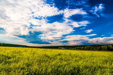 Grass field and dramatic sky at sunset Stock Photos