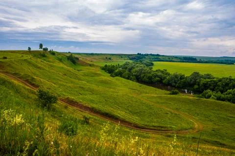 Grass field and dramatic sky Foto stock