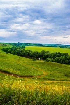 Grass field and dramatic sky Stock Photos