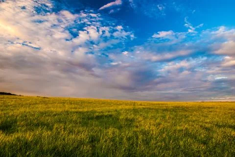 Grass field and dramatic sky at sunset Stock Photos
