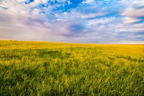 Grass field and dramatic sky at sunset Stock Photos
