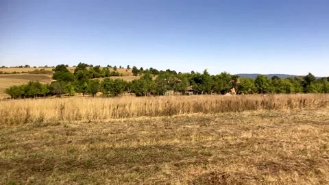 Grass Field And Forest On Mountain. Huge Field With Forest And Mountain Range. Stock Footage 151143046