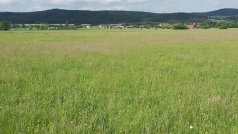 A grass field and meadow Stock Footage 195931918