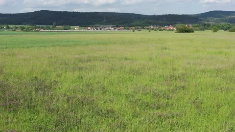 A grass field and meadow Stock Footage 195932255