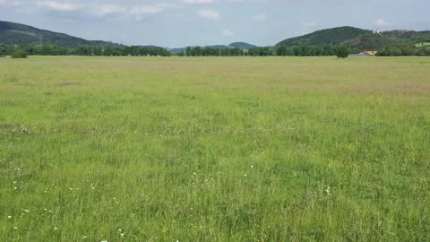 A grass field and meadow Stock Footage 195935995