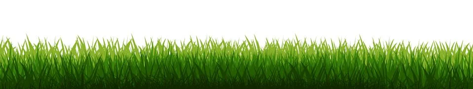 Grass field background vector. Green dense juicy lawn grass. Spring Summer. I Stock Illustration