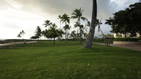 Grass Field By The Beach Stock Footage 104784103