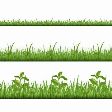 Grass field border, green lawn. Realistic spring back yard, garden hedge Stock Illustration