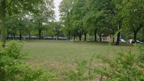Grass Field in City Park with Trams Passing, Low Angle View Stock-Footage 342725783