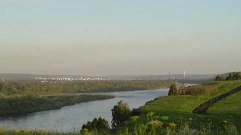Grass on the field close up 스톡 동영상 133022162