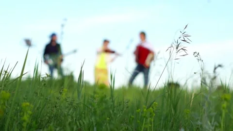 Grass on the field close up Stock Footage 133485935