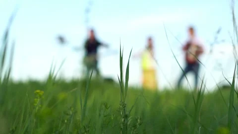 Grass on the field close up Stock Footage 133860277