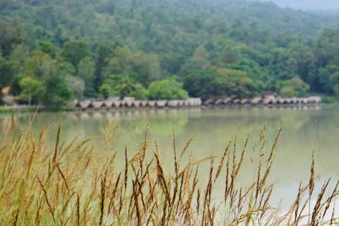 Grass field of depth. Stock Photos