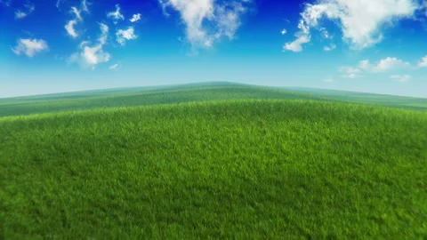 Grass Field Dreamscape Loop Stock Footage 272722889