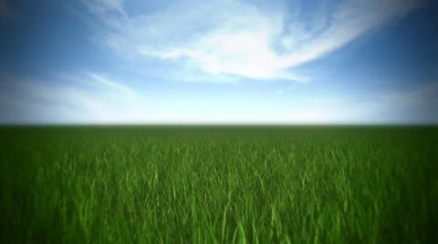 Grass Field Stock Footage 1103267