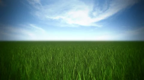 Grass Field Stock Footage 1103268