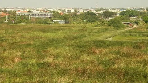 Grass field Vidéo 8984099