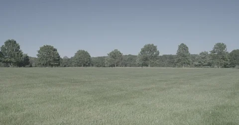 Grass field Stock Footage 77660670