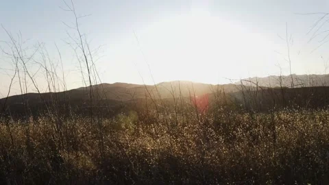 Grass Field Video stock 138998707