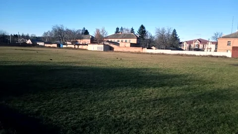 Grass field Stock Footage 166226719