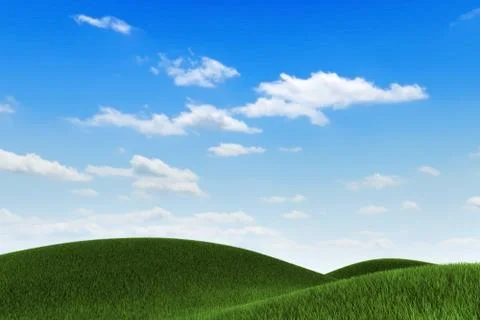 Grass field Stock Illustration