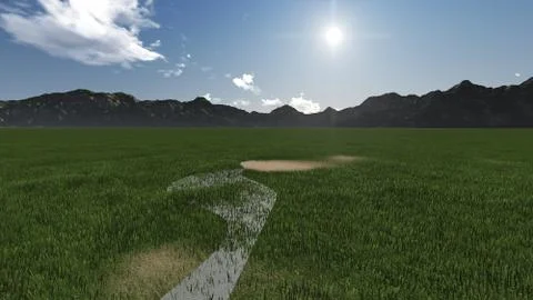 Grass field Stock Illustration