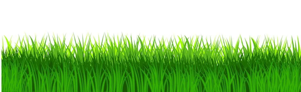 Grass field isolated vector. Green dense juicy lawn grass. Spring Summer. Iso Illustrazione stock