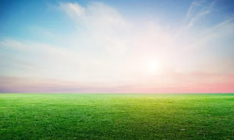 Grass field landscape panoramic Stock Photos